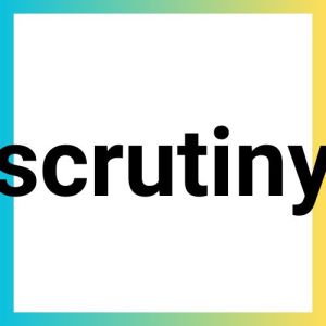 Scrutiny Logo